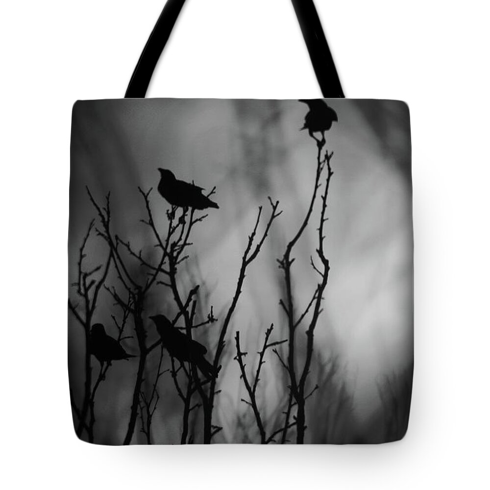  Tote Bag featuring the photograph In the Tree Tops by Stoney Lawrentz