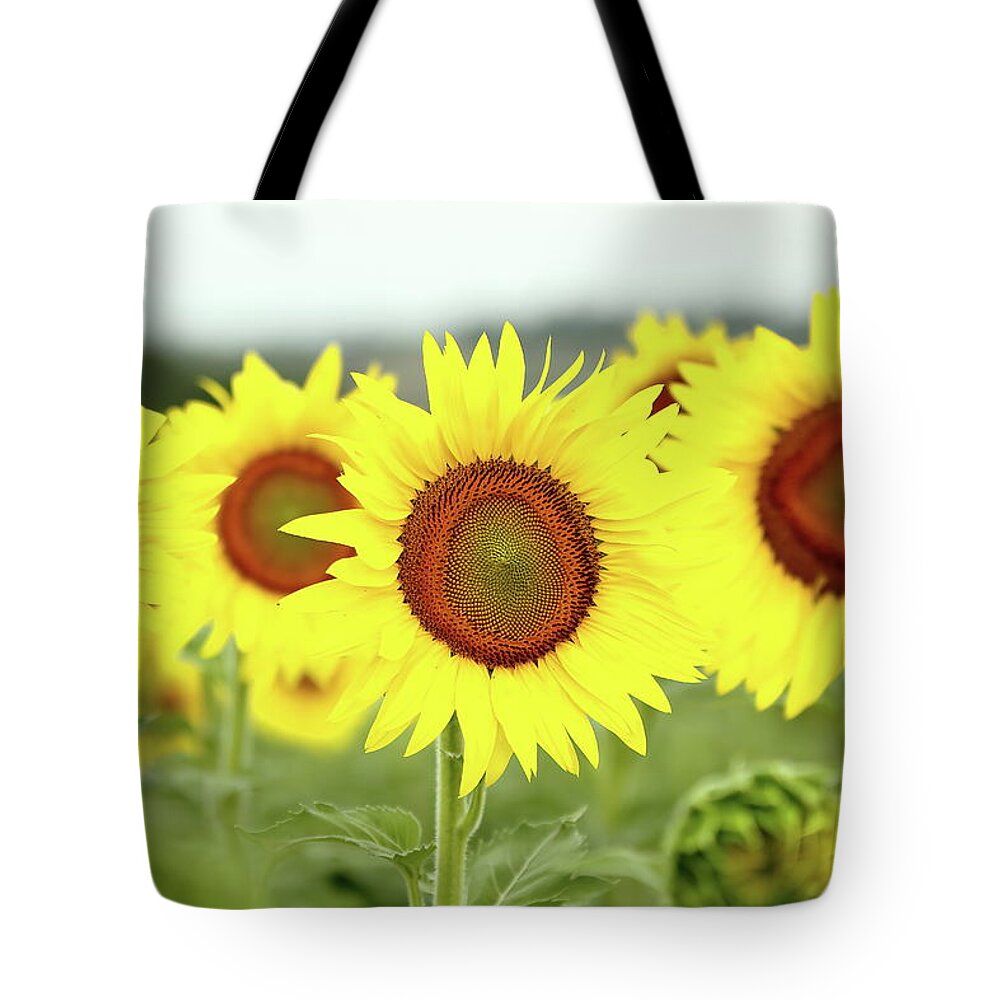 Sunflower Tote Bag featuring the photograph In Your Face by Lens Art Photography By Larry Trager