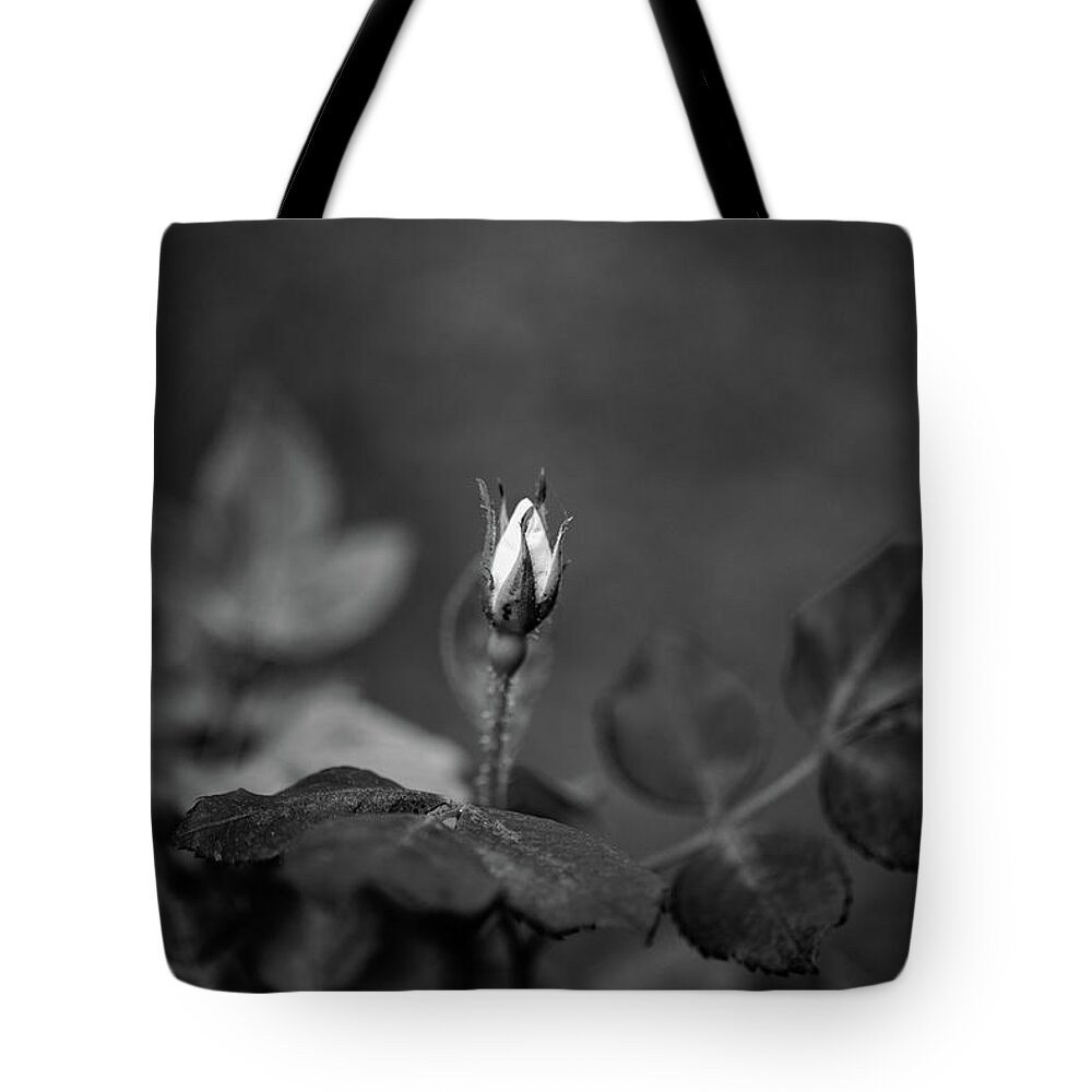 Flower Tote Bag featuring the photograph Incoming Bud by Valerie Cason