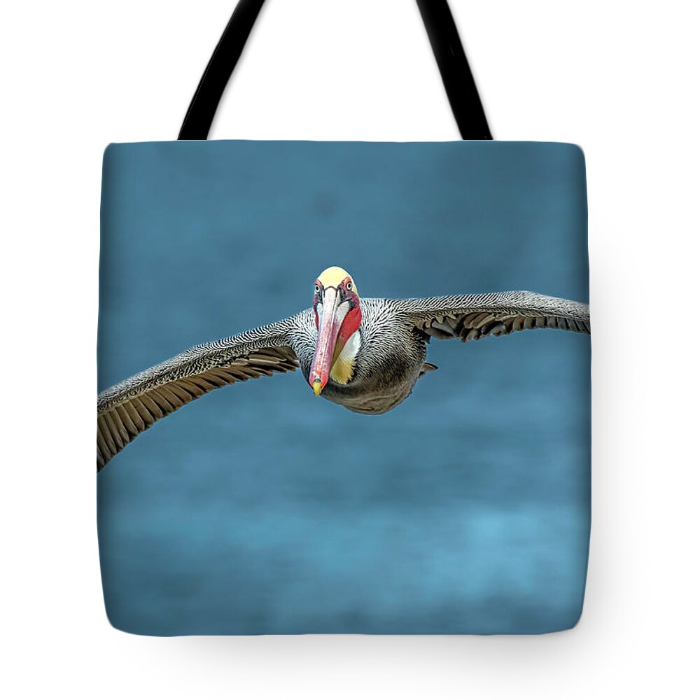 Pelican Tote Bag featuring the painting Incoming Pelican by Jerry Cahill