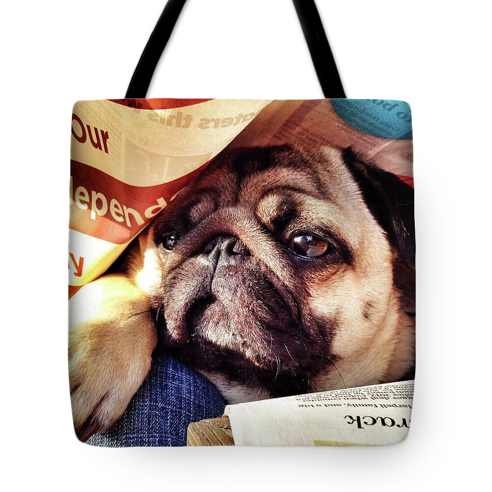 Pug Tote Bag featuring the photograph Independence Day by Robert Dann