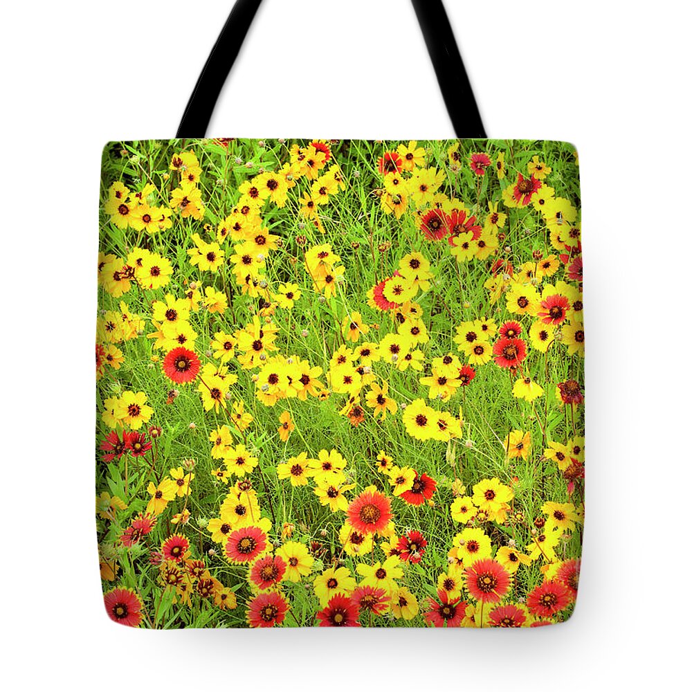 Dave Welling Tote Bag featuring the photograph Indian Blanketflowers And Coreopsis Texas by Dave Welling