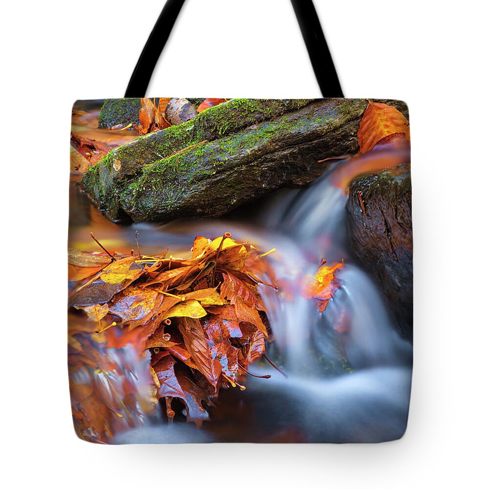 Indian Well State Park Tote Bag featuring the photograph Indian Well State Park by Juergen Roth