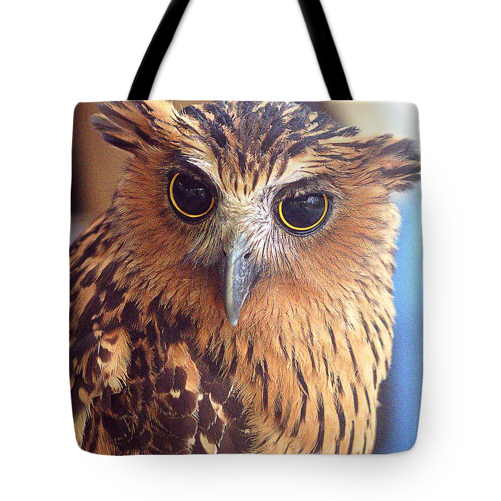  Tote Bag featuring the photograph Indonesia 12 by Eric Pengelly
