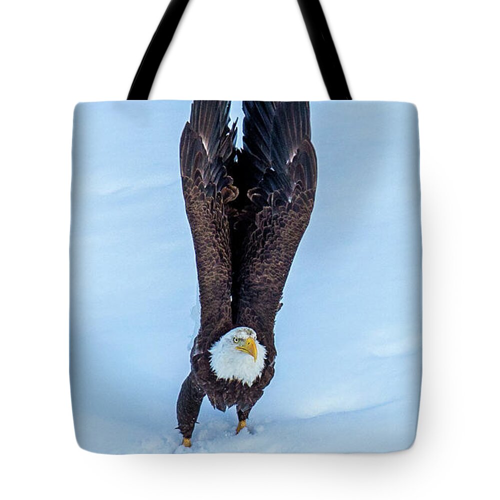 Eagle Tote Bag featuring the photograph Intention by Kevin Dietrich