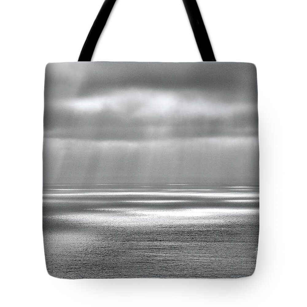 Nature Tote Bag featuring the photograph Intermittent by Julia Hiebaum