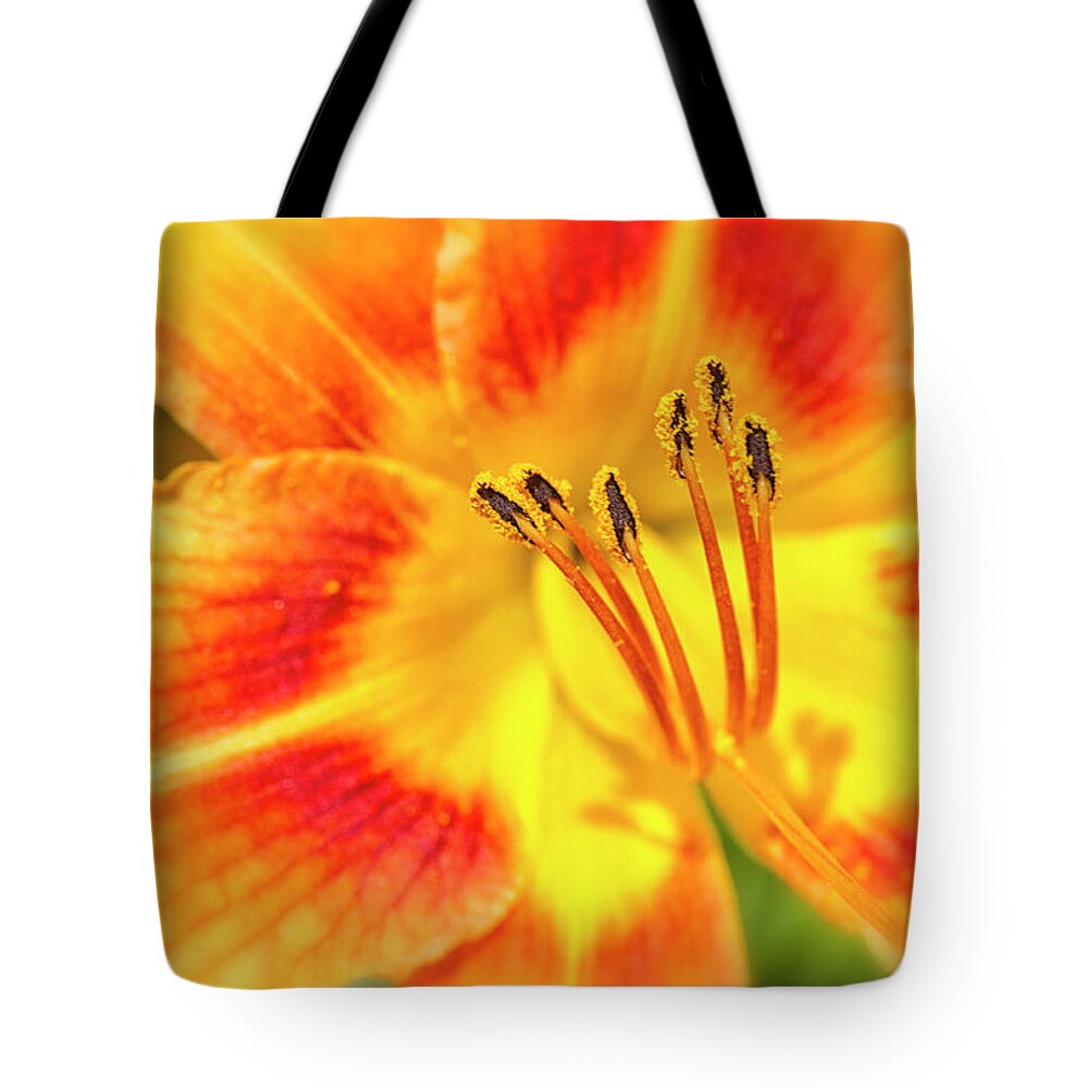 Tiger Lilly Tote Bag featuring the photograph Intimate Lily Detail by Bob Decker