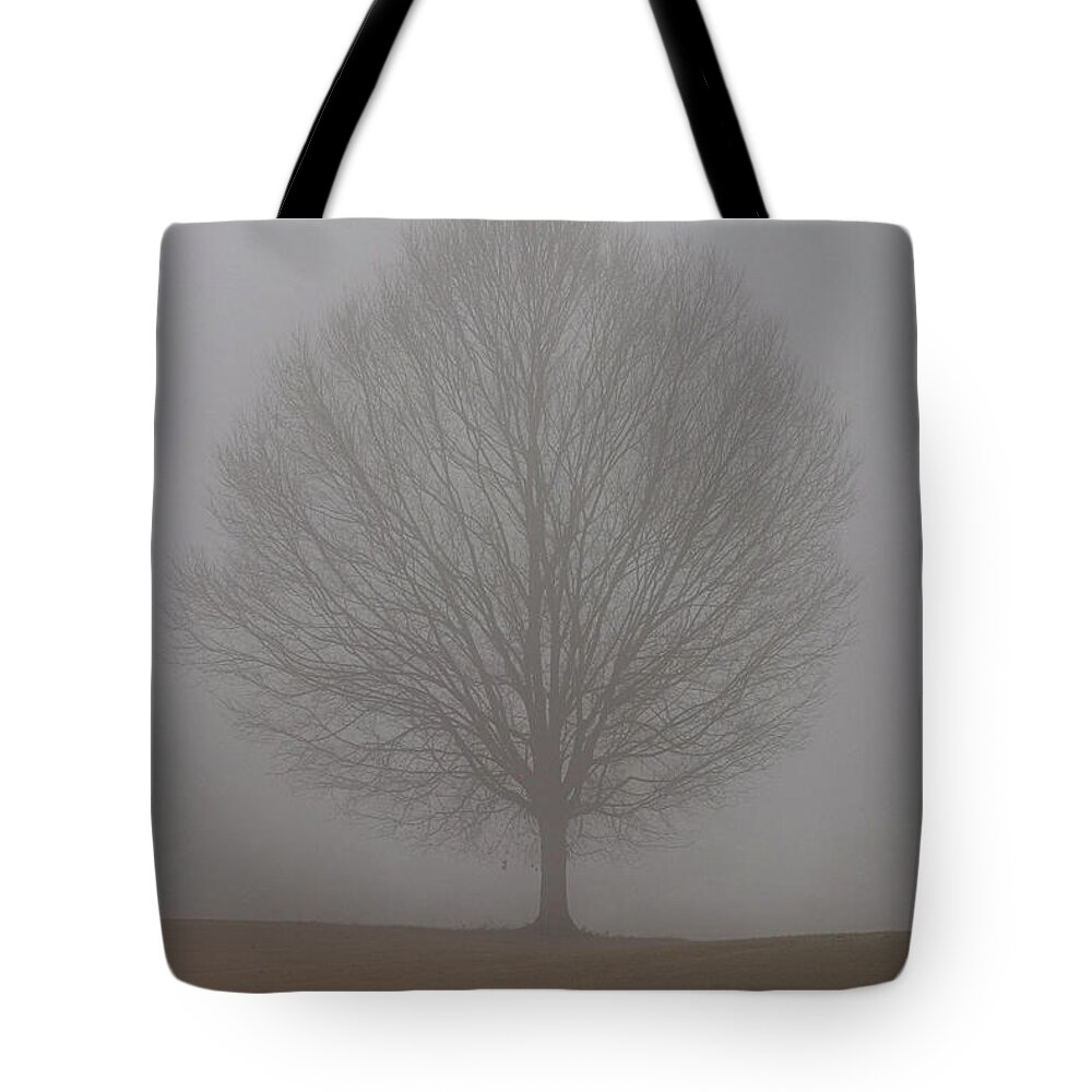 Fog Tote Bag featuring the photograph Into the fog by Jamie Tyler
