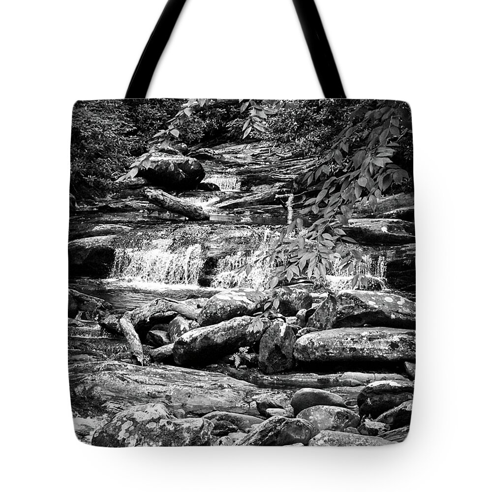 Appalachia Tote Bag featuring the photograph Into the Forest BW by Christi Kraft