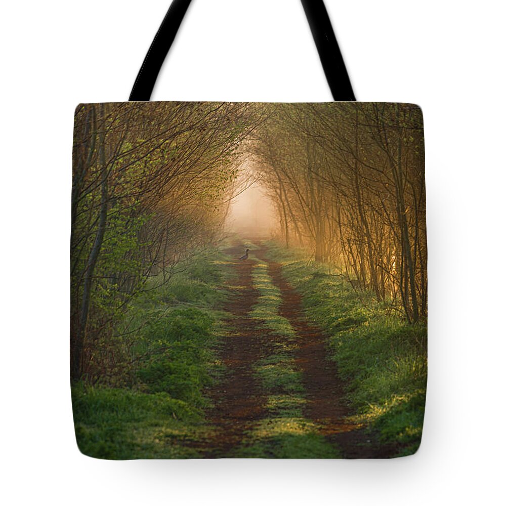 Netherlands Tote Bag featuring the photograph Into the magic forest by Casper Cammeraat
