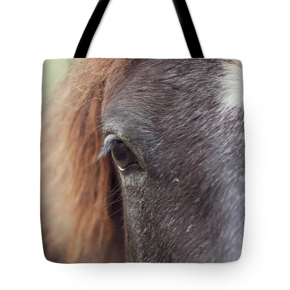 Horse Tote Bag featuring the photograph Into the Soul by Holly Ross