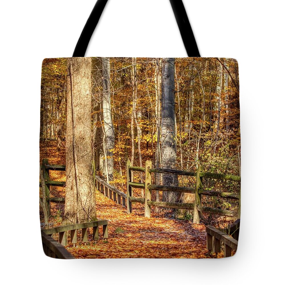 Autumn Tote Bag featuring the photograph Into the woods in Autumn by Ron Grafe