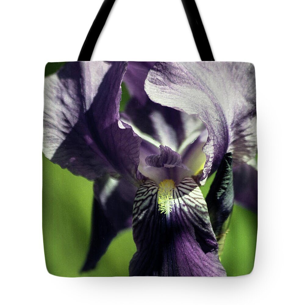 Arizona Tote Bag featuring the photograph Into the World of the Iris by Kathy McClure