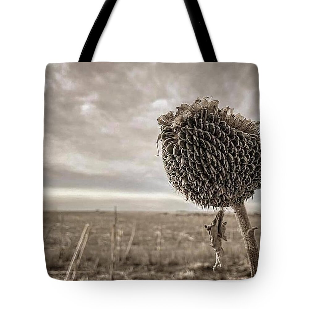 Iphonography Tote Bag featuring the photograph iPhonography Sunflower 1 by Julie Powell