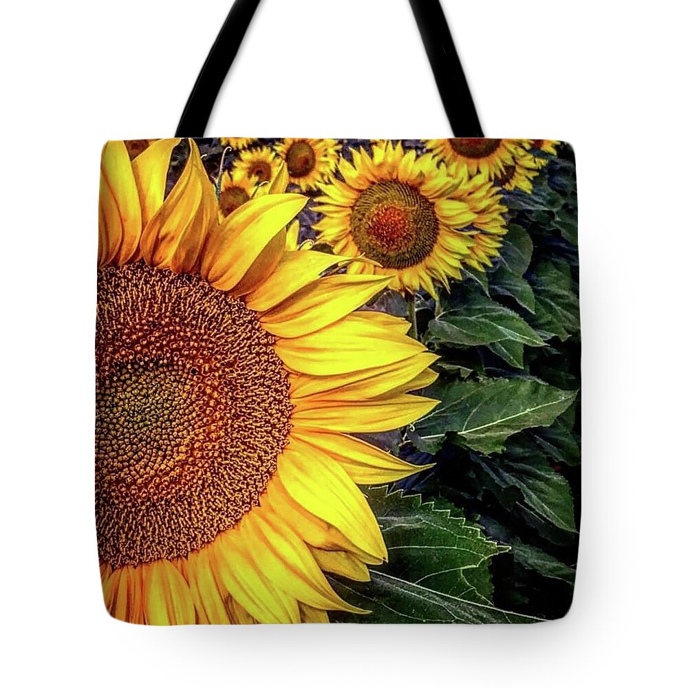 Iphonography Tote Bag featuring the photograph Iphonography Sunflower 3 by Julie Powell