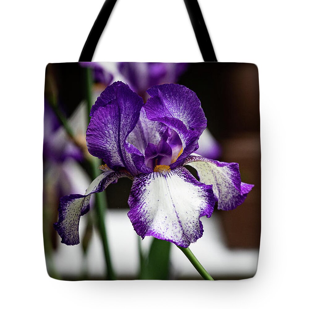 Iris Tote Bag featuring the photograph Iris in Purple and White by Denise Kopko