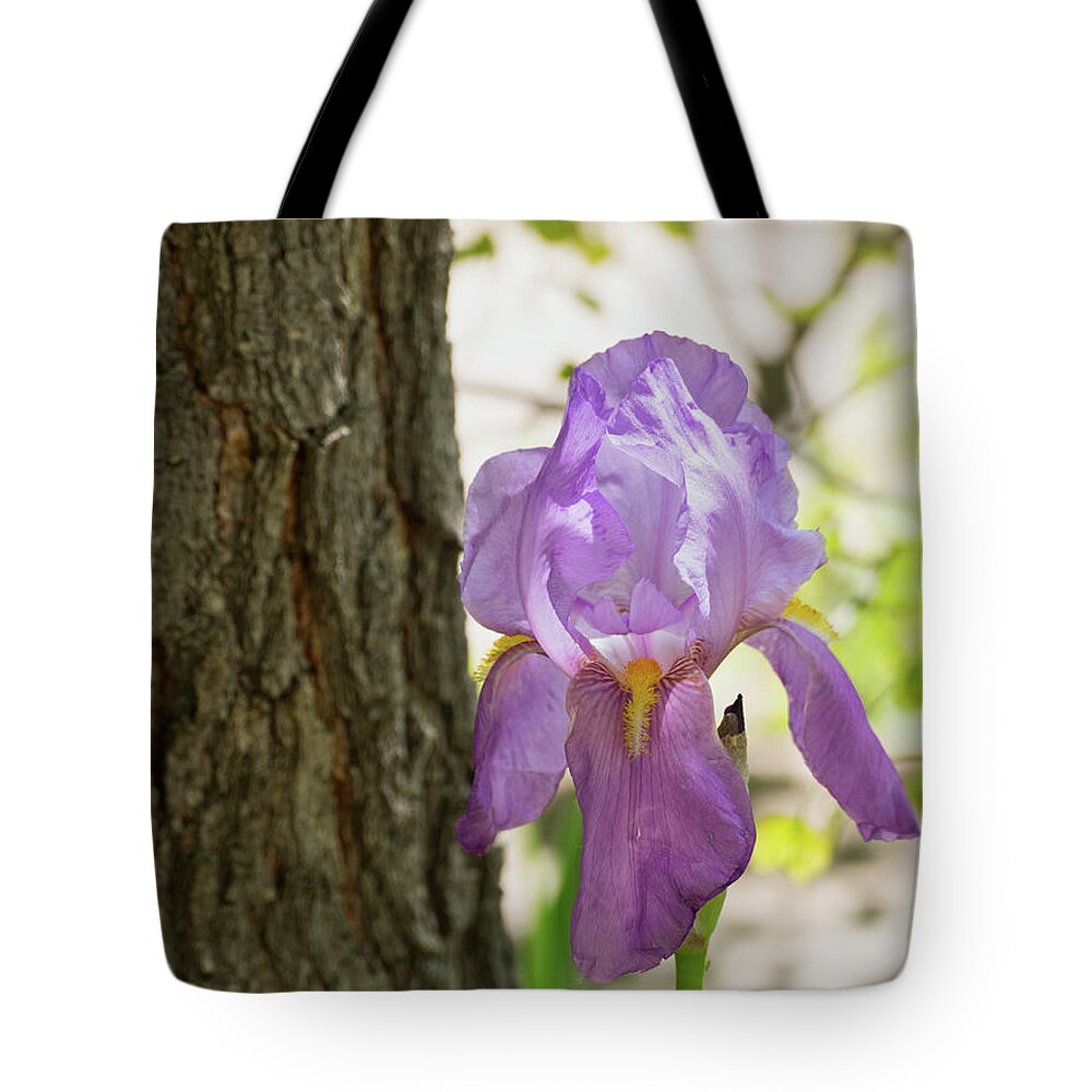 Flora Tote Bag featuring the photograph Iris by Segura Shaw Photography