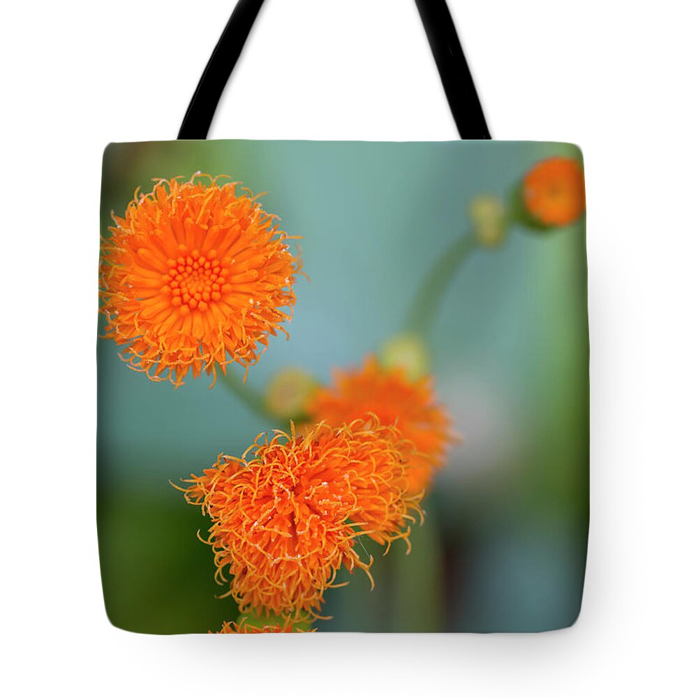 Flower Tote Bag featuring the photograph Irish Poet by Dawn Cavalieri
