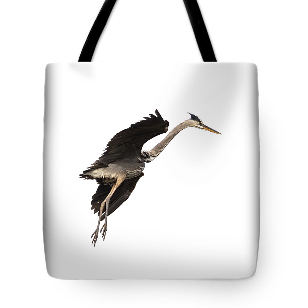 Great Blue Heron Tote Bag featuring the photograph Isolated Great Blue Heron 2019-5 by Thomas Young