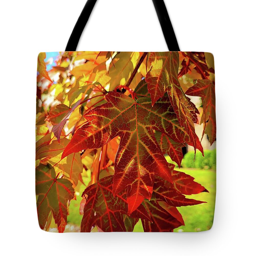 Leaves Tote Bag featuring the photograph It Is Time by Roberta Byram