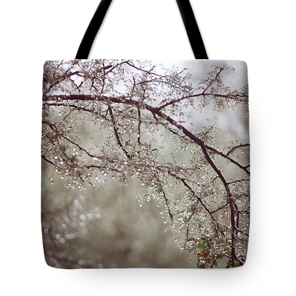 Nature Tote Bag featuring the photograph It's All In The Detail by Katie Dobies