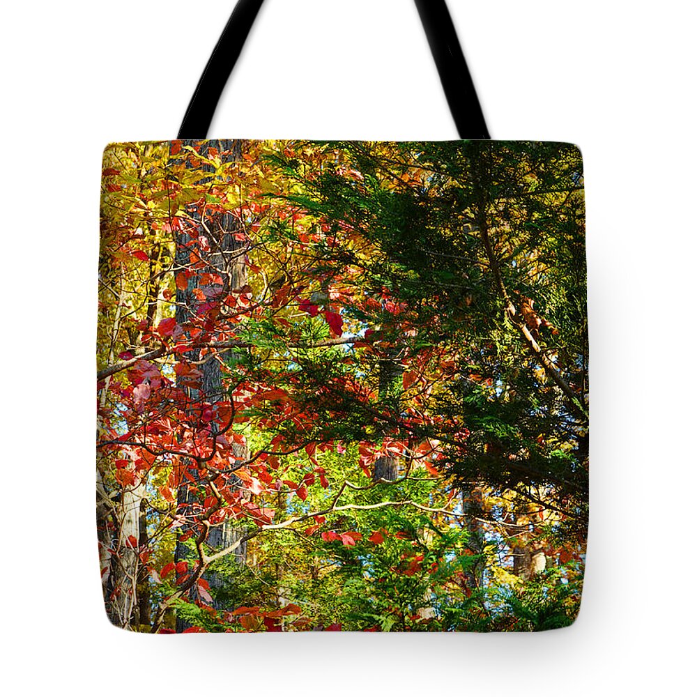 Colorful Tote Bag featuring the photograph It's So Easy Being Green - A Piedmont Autumn Impression by Steve Ember