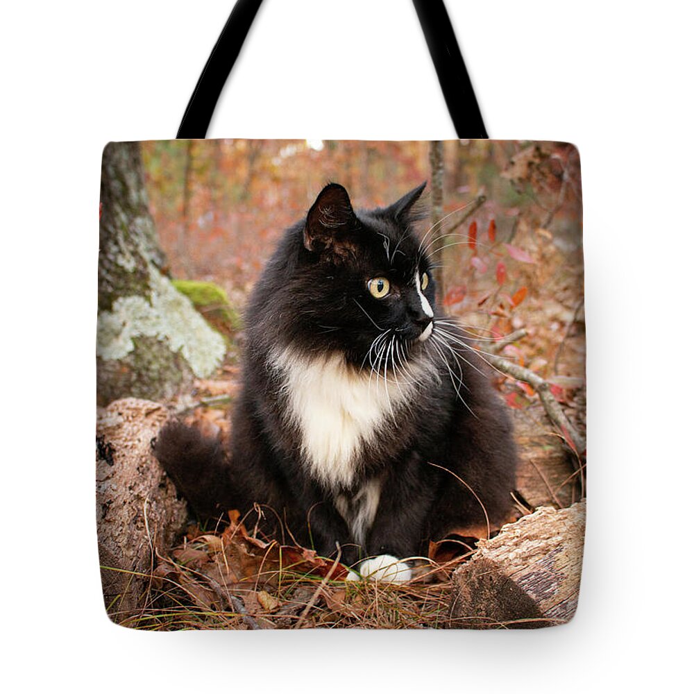 Cat Tote Bag featuring the photograph Ivan The Black and White Cat by Kristia Adams
