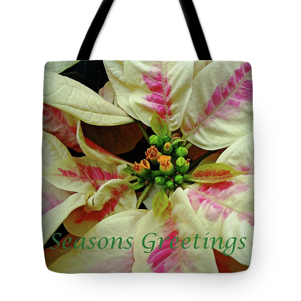 Ivory And Pink Pointsettia Merry Christmas Tote Bag featuring the photograph Ivory And Pink Pointsettia Seasons Greetings by Debbie Oppermann