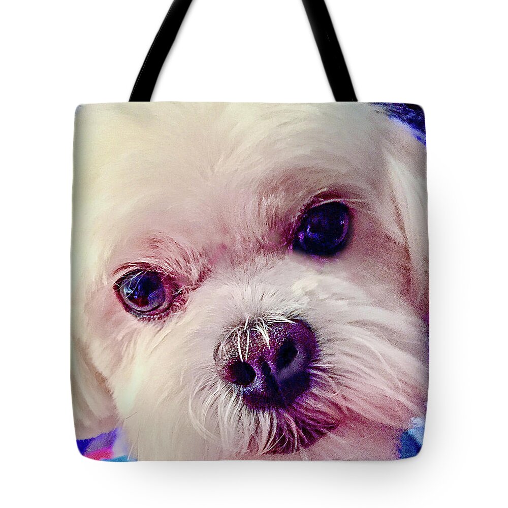 Dog Tote Bag featuring the photograph Best Friend by Kerry Obrist
