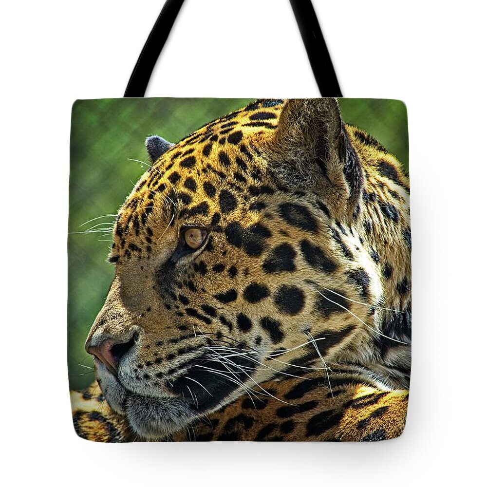 Mammal Tote Bag featuring the photograph Jaguar Profile by David Desautel