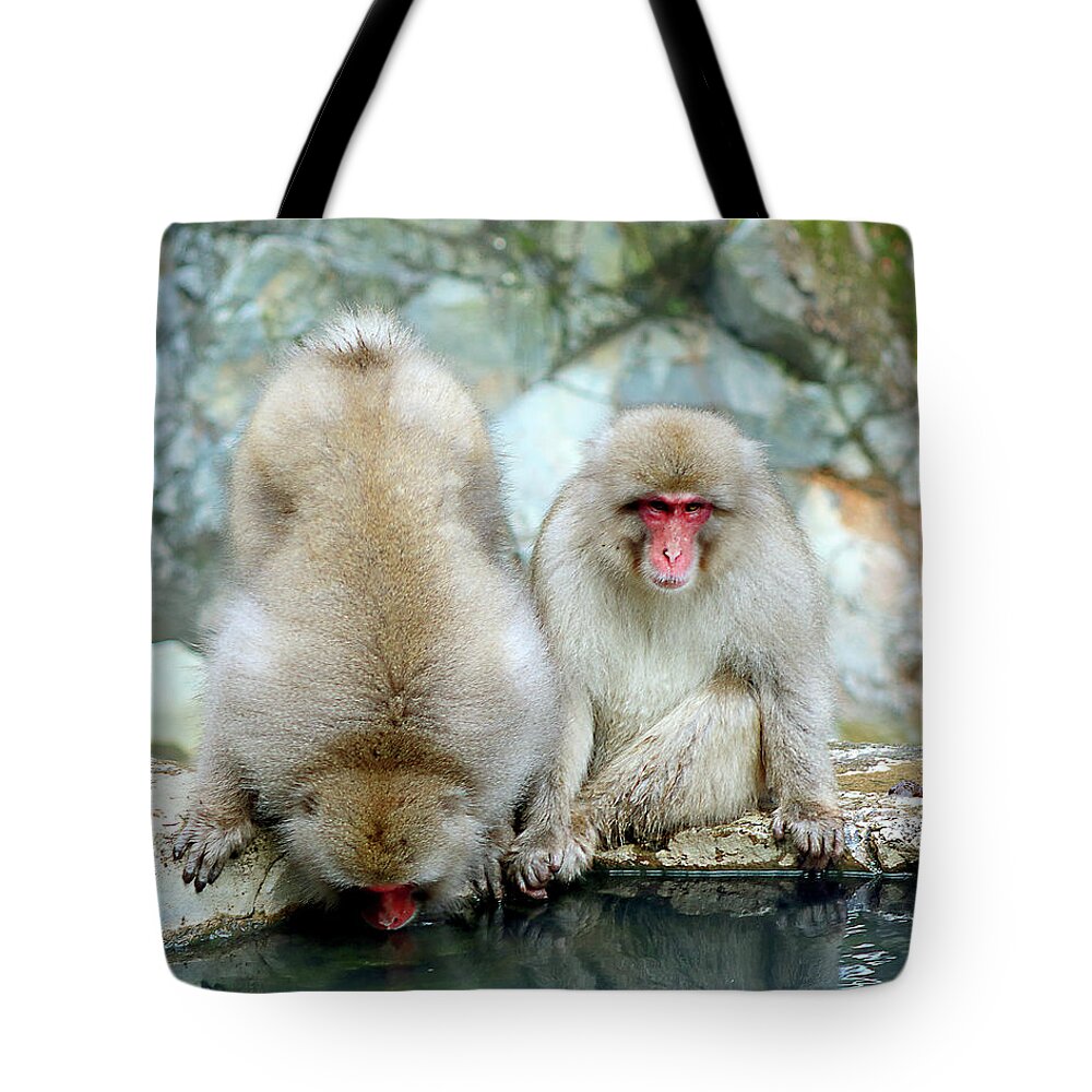  Tote Bag featuring the photograph Japan 63 by Eric Pengelly