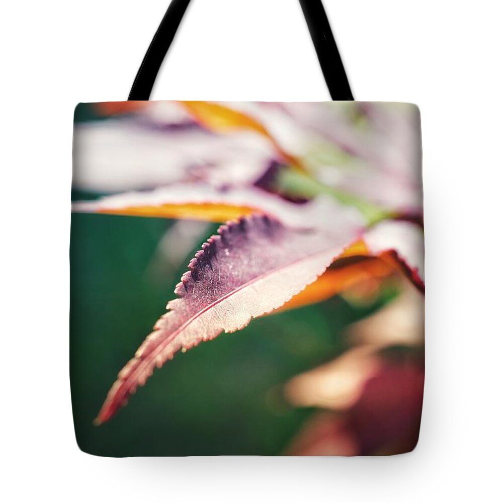 Photo Tote Bag featuring the photograph Japanese Maple Leaf by Evan Foster