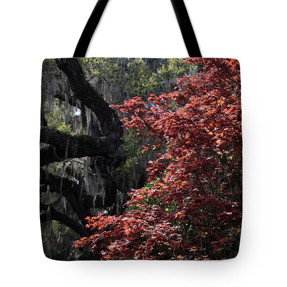 Photograph Tote Bag featuring the photograph Japanese Red Maple in Watercolor by Suzanne Gaff
