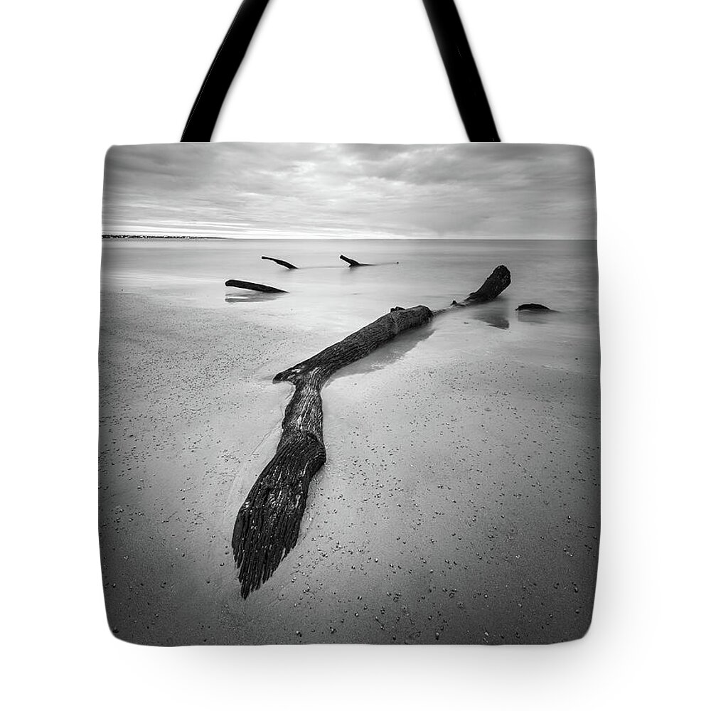 Driftwood Beach Tote Bag featuring the photograph Jekyll Island Driftwood In Black And White by Jordan Hill