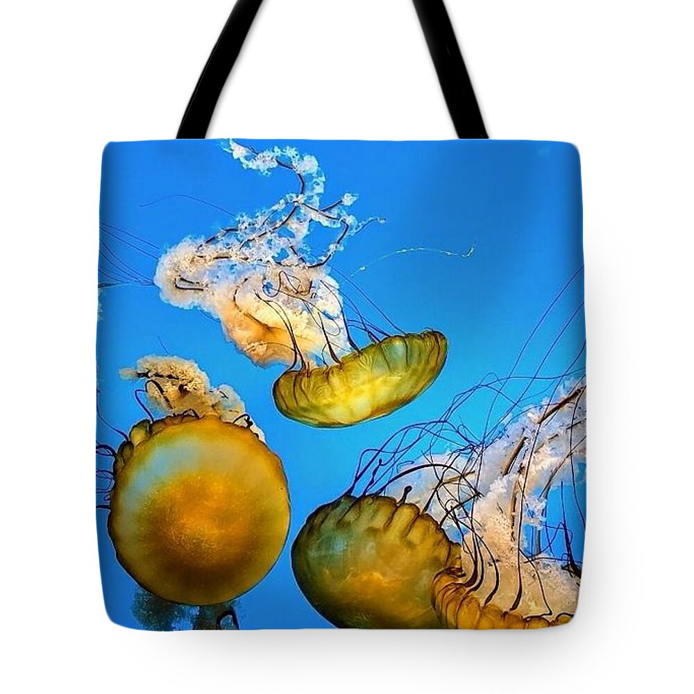 Jellyfish Tote Bag featuring the pyrography Jellies 2 by Elena Pratt