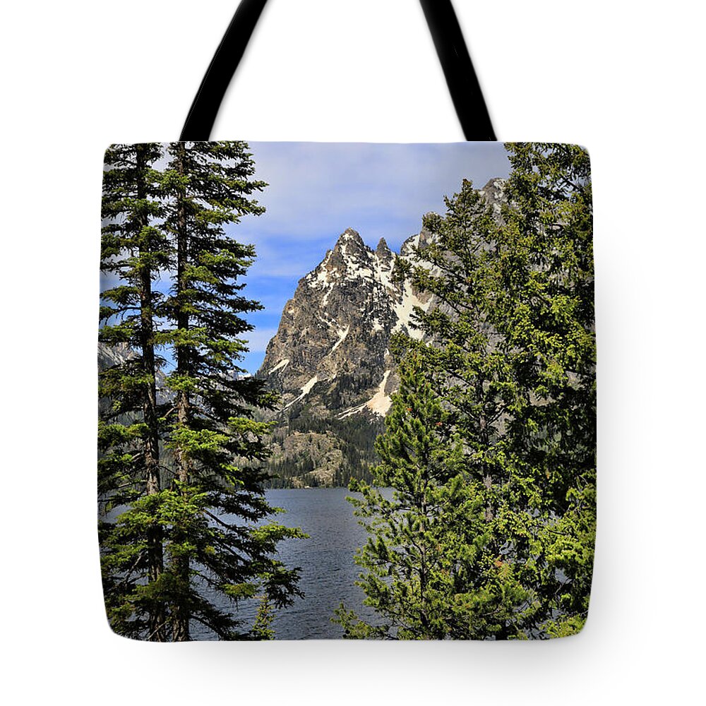 Jenny Lake Vertical Summer Tote Bag featuring the photograph Jenny Lake Vertical Summer by Dan Sproul