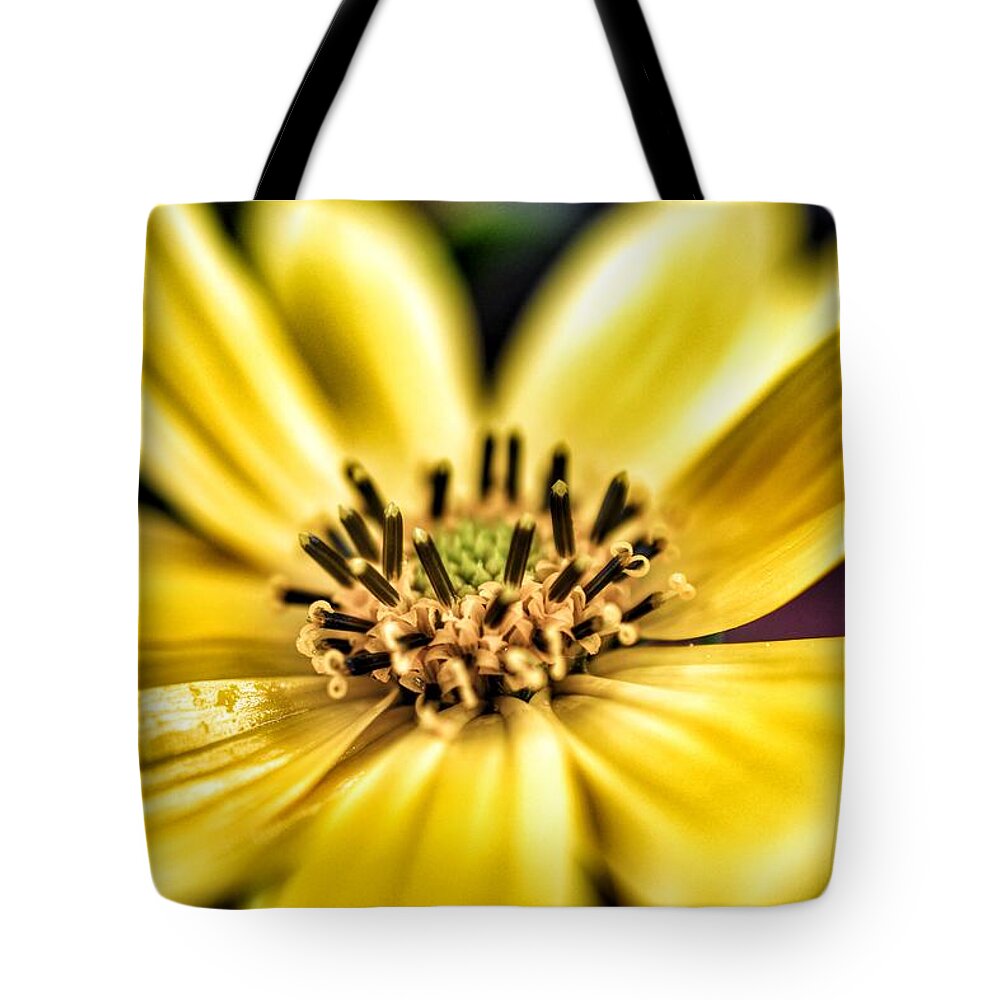 Photo Tote Bag featuring the photograph Jerusalem Artichoke by Evan Foster