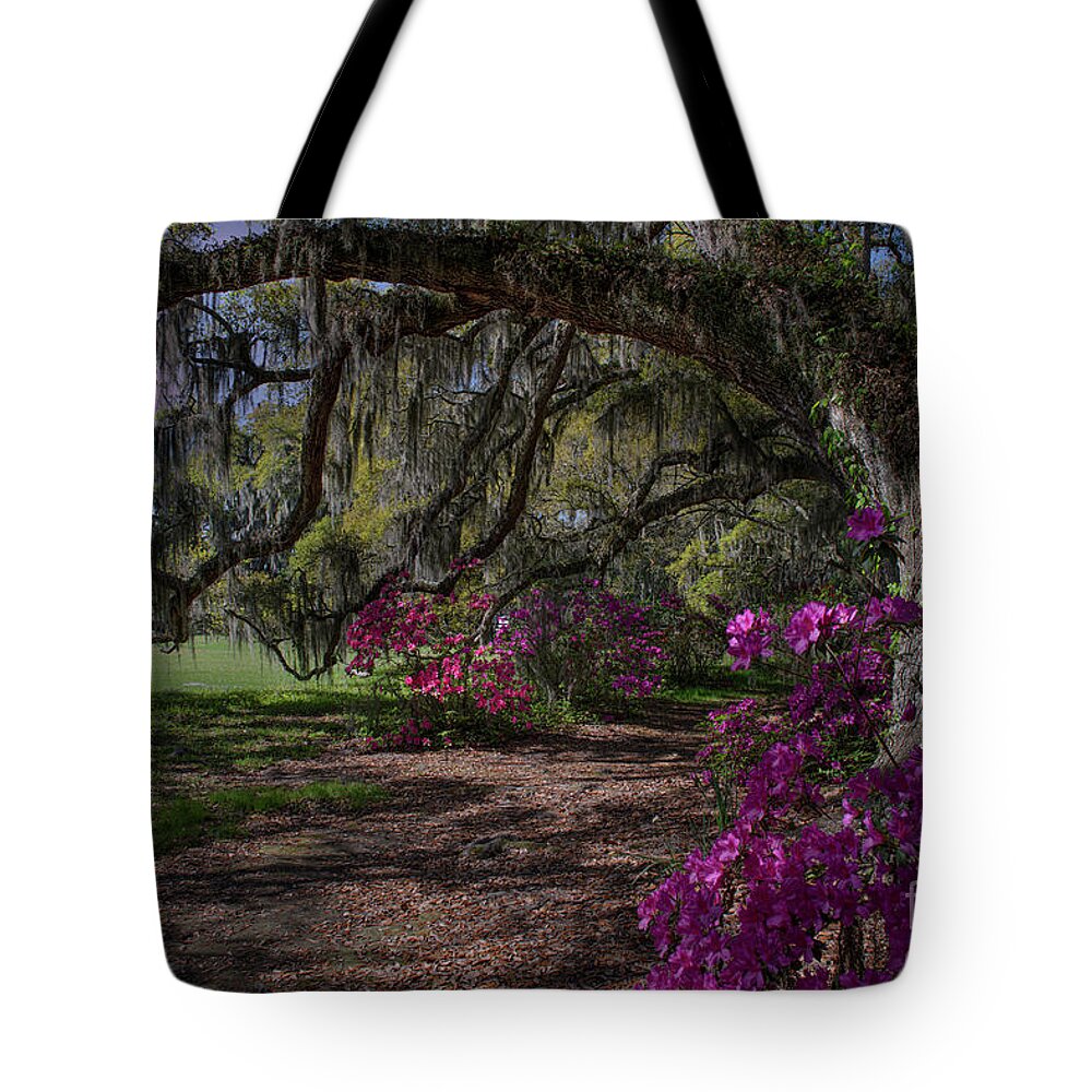 Magnolia Plantation Tote Bag featuring the photograph Jewel of the South - Magnolia Plantation by Dale Powell