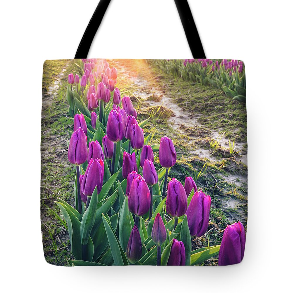 Tulips Tote Bag featuring the photograph Jewel Tone Tulips by Michael Rauwolf