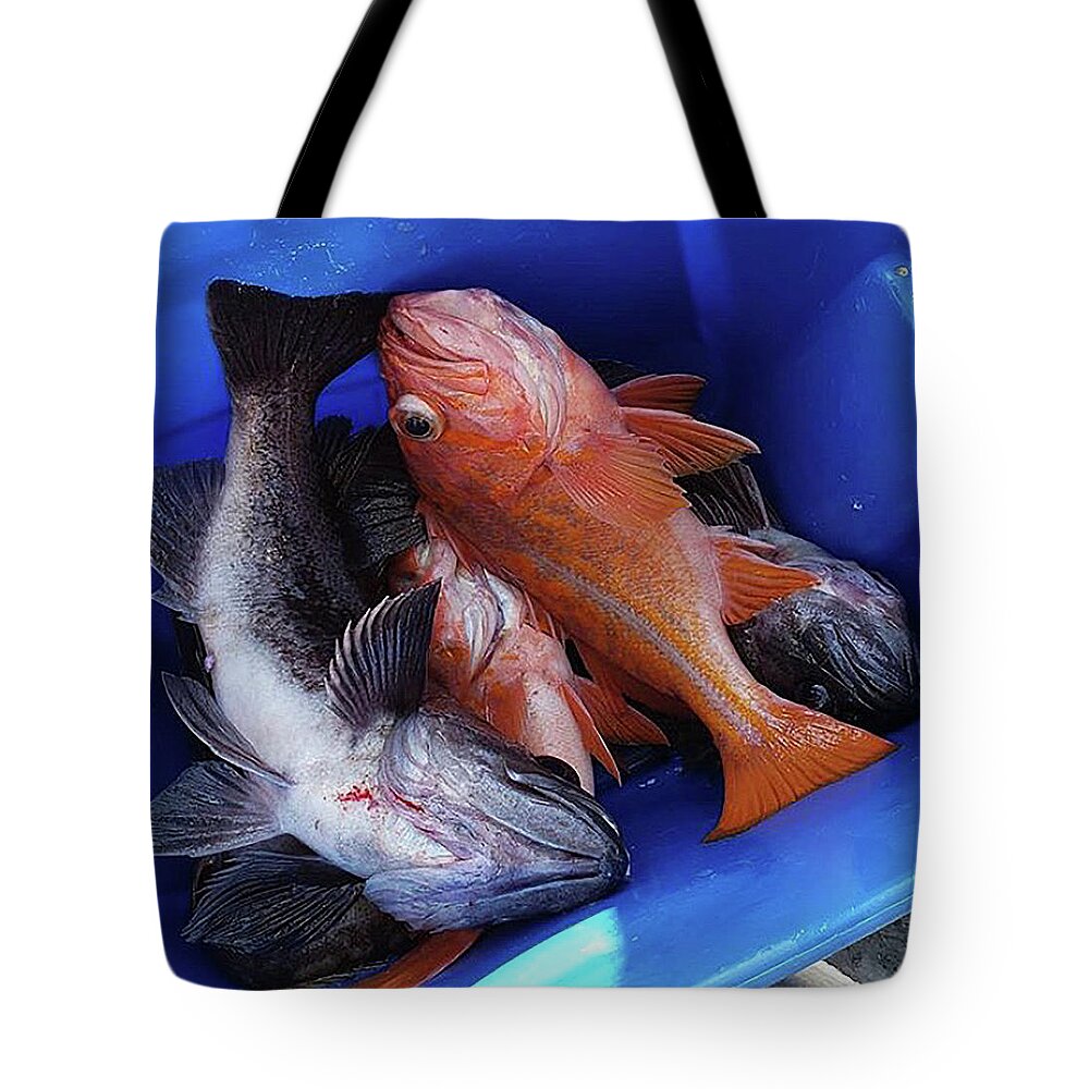 Fish In A Bucket Tote Bag featuring the digital art Jim's Catch #1 by Steve Glines