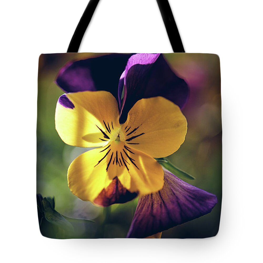 Bloom Tote Bag featuring the photograph Johnny Jump Up by Bob Orsillo