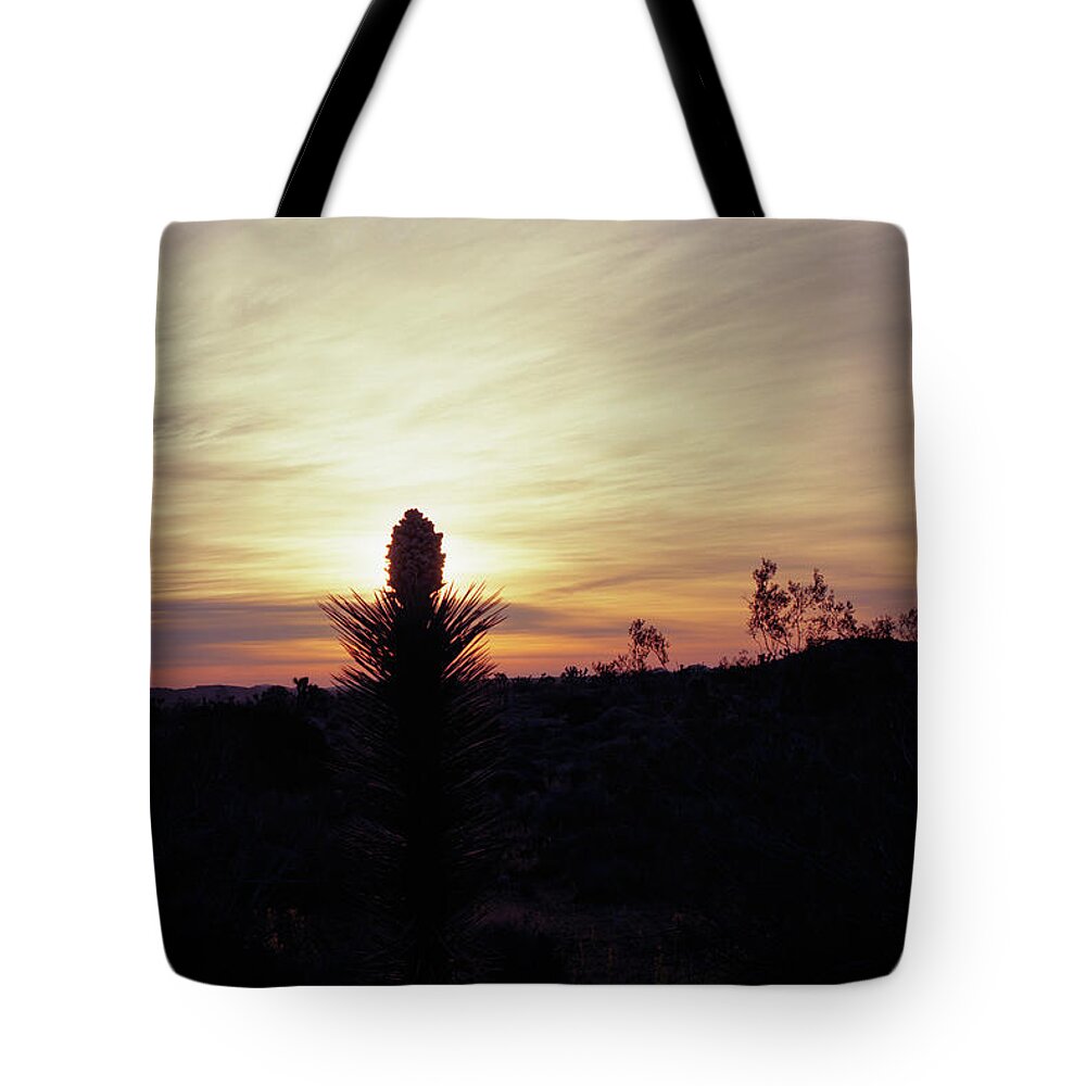 Tom Daniel Tote Bag featuring the photograph Joshua Candle #1 by Tom Daniel