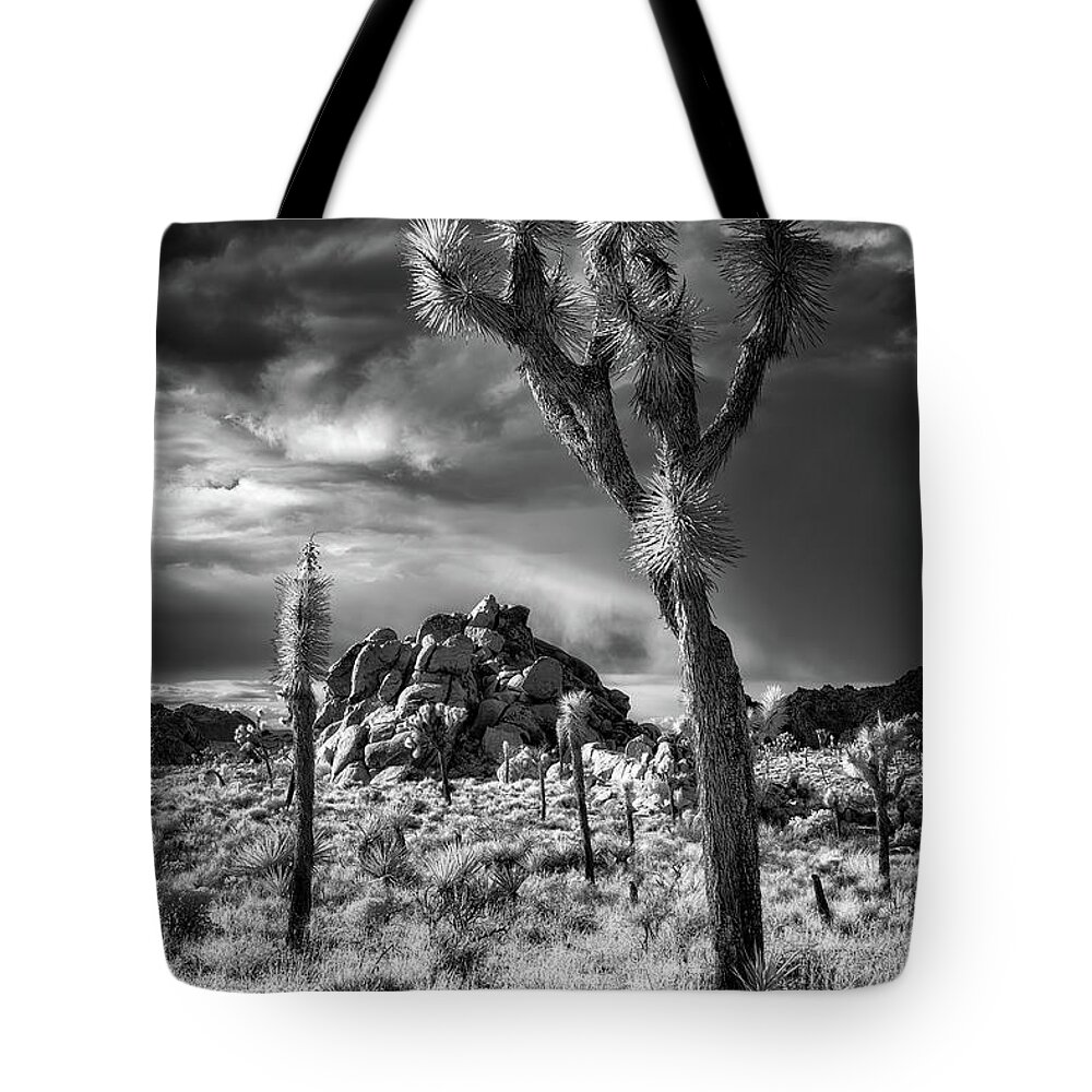 B&w Tote Bag featuring the photograph Joshua Tree National Park - IR by Izet Kapetanovic