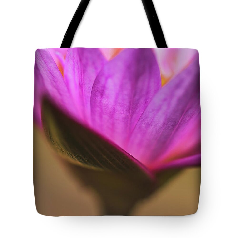 Flower Tote Bag featuring the photograph Joy by Laura Roberts