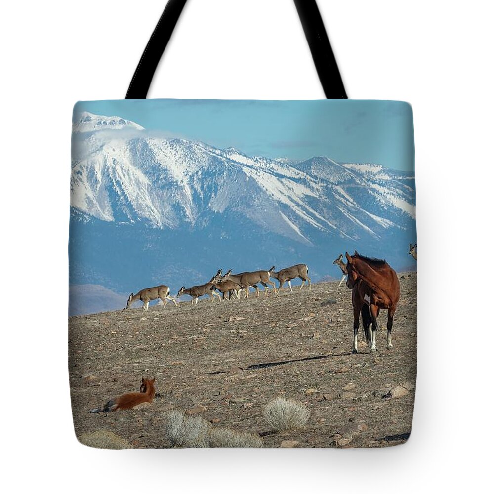  Tote Bag featuring the photograph Jt__0292 by John T Humphrey
