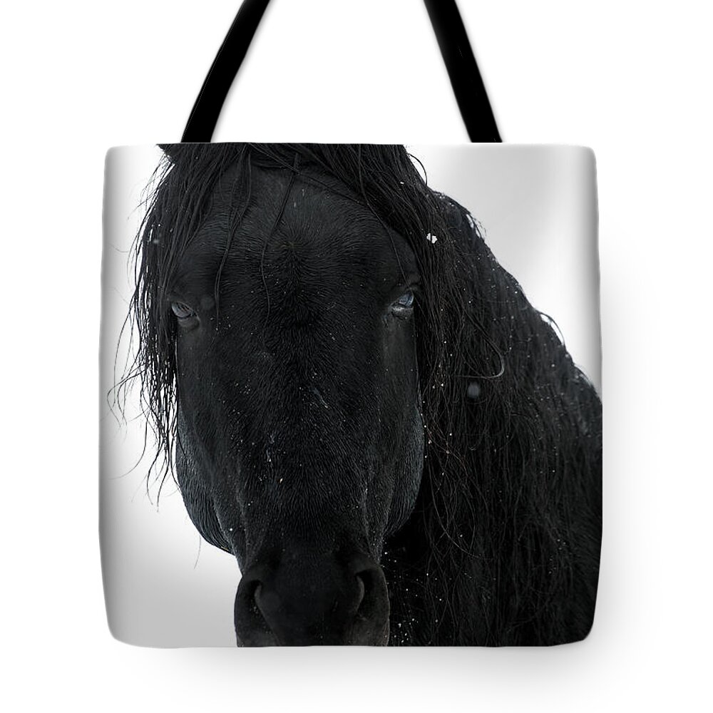  Tote Bag featuring the photograph Jt__3881 by John T Humphrey