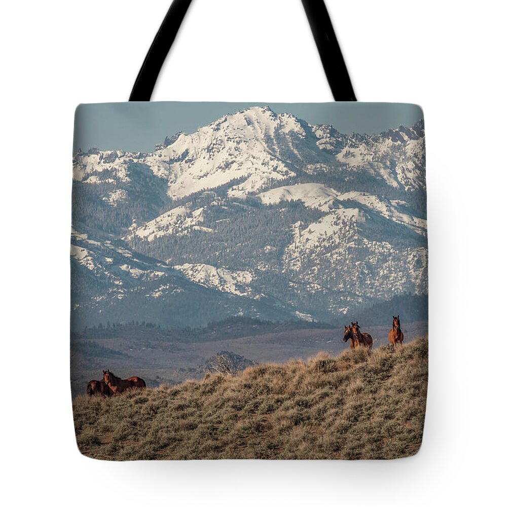  Tote Bag featuring the photograph Jt__3975 by John T Humphrey