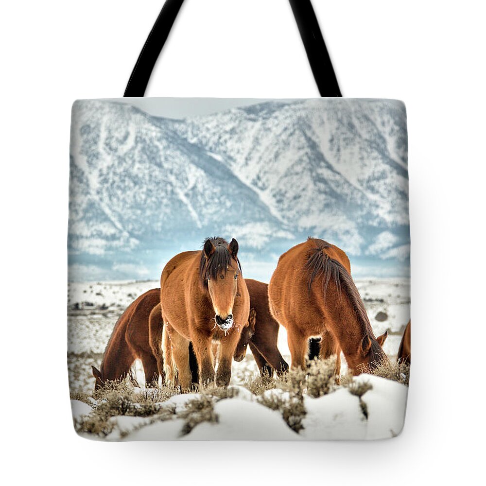  Tote Bag featuring the photograph Jt5_0058 by John T Humphrey