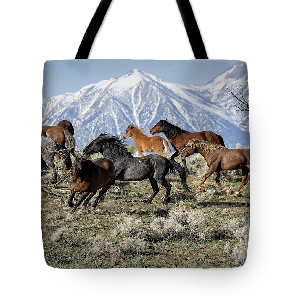  Tote Bag featuring the photograph Jtr50080 by John T Humphrey