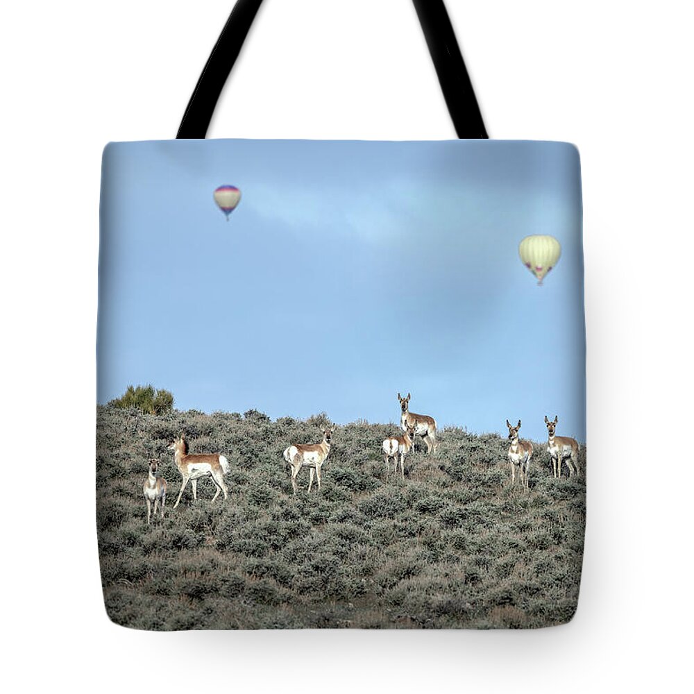  Tote Bag featuring the photograph Jtr50384 by John T Humphrey